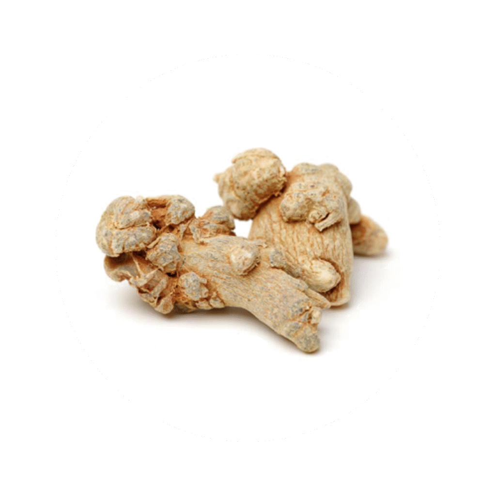 corheight Ingredients | AstraGin