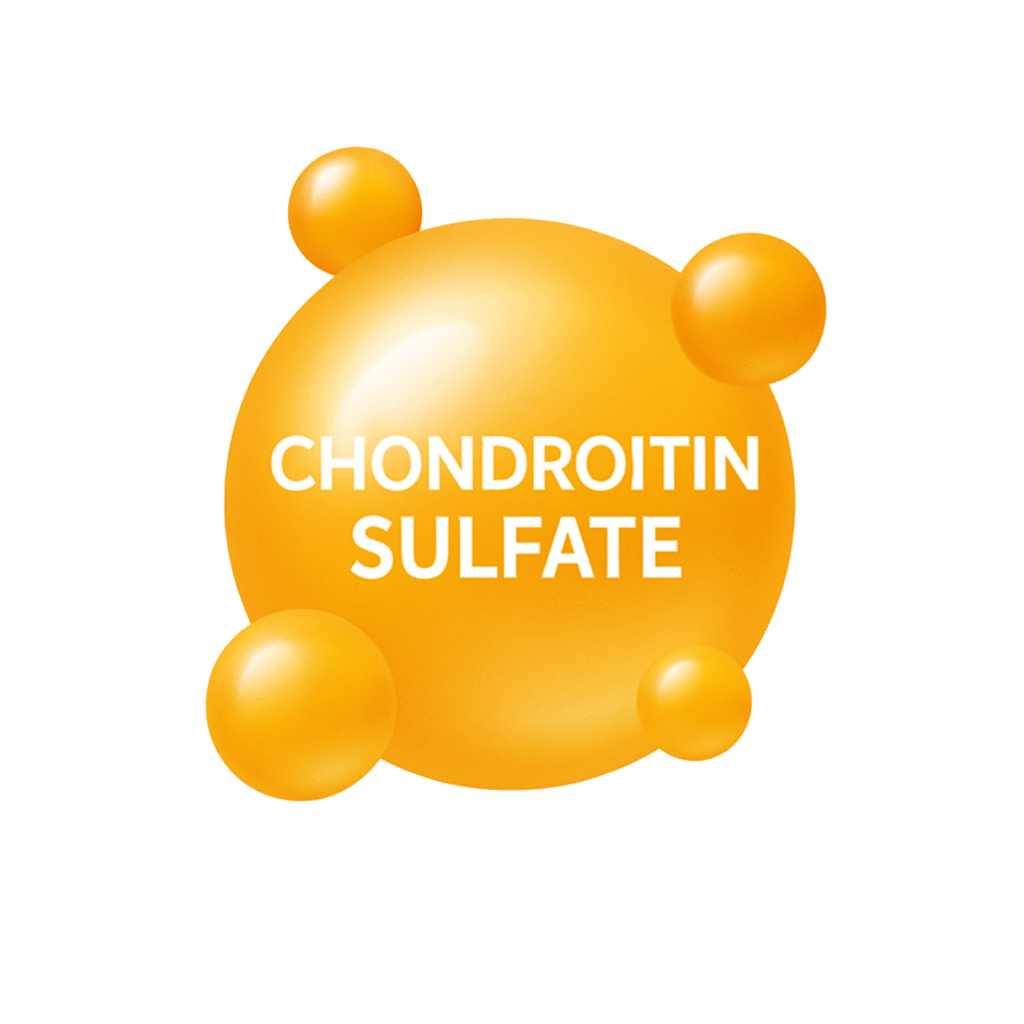 corheight Ingredients | Chondroitin Sulfate
