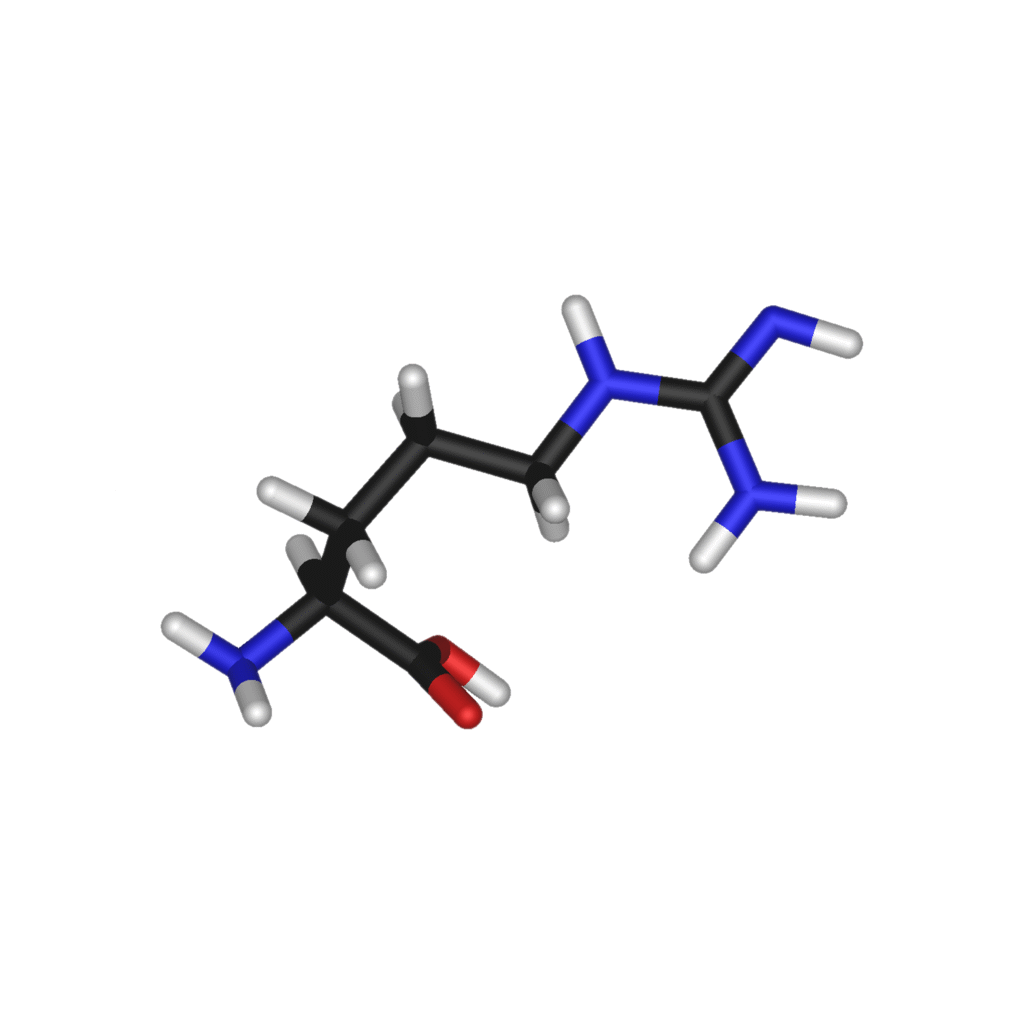 corheight Ingredients | L-Arginine