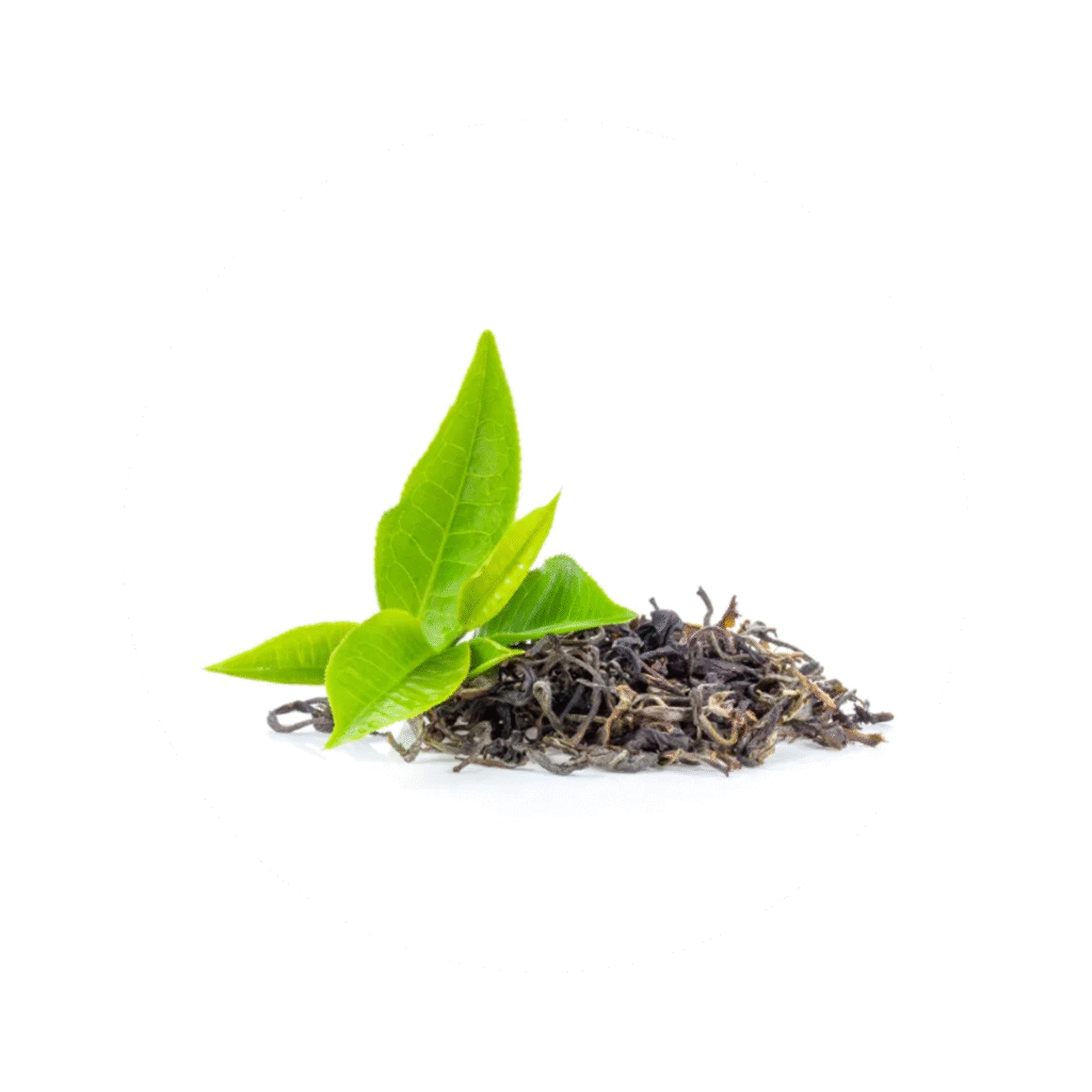 corheight Ingredients | L-Theanine