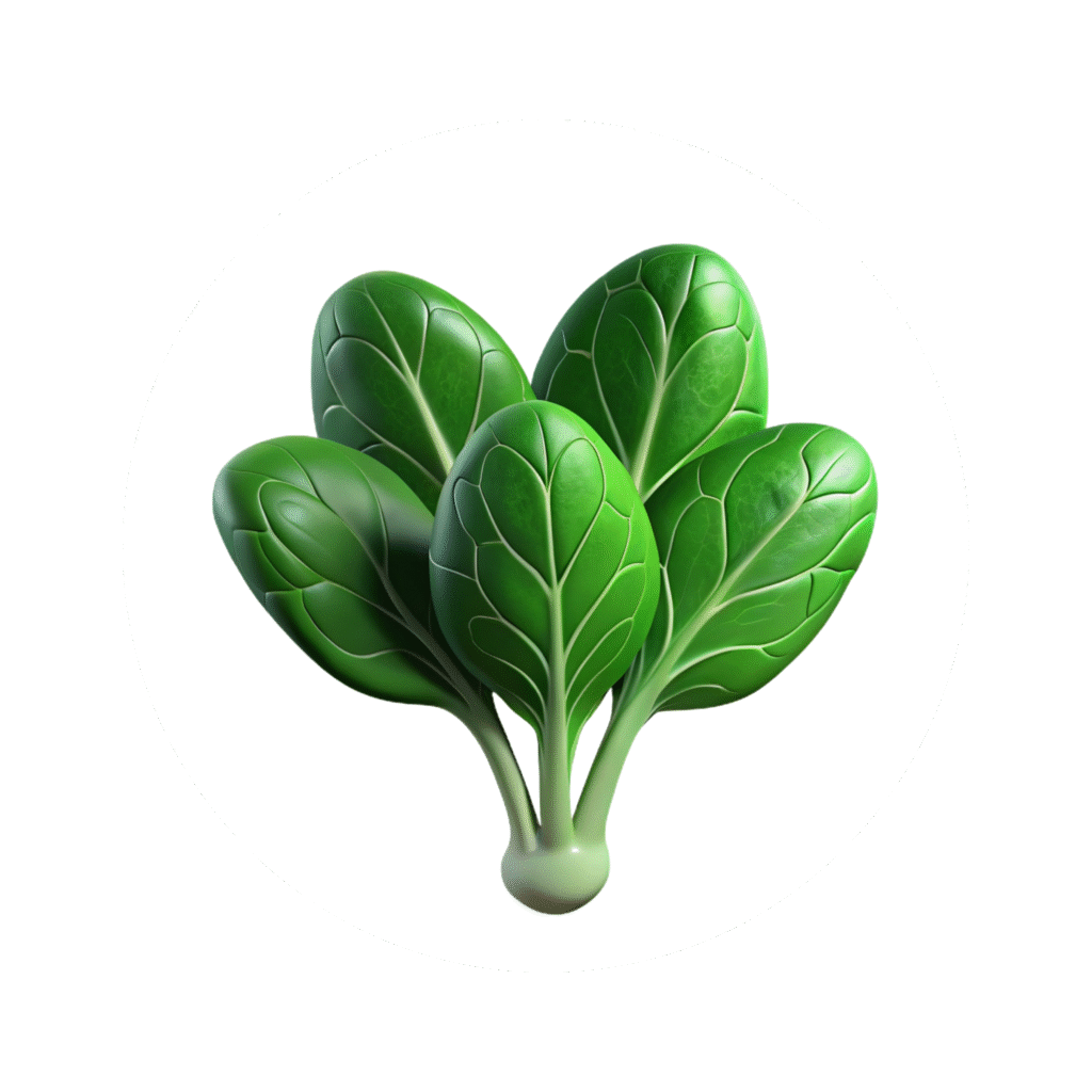 corheight Ingredients | Vitamin K