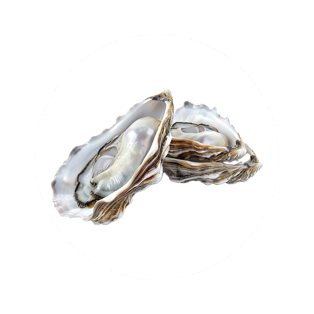 corheight Ingredients | Zinc